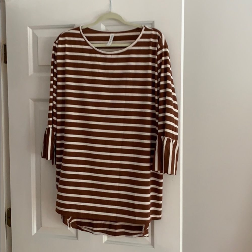 Tickled Teal. Size 2x tunic